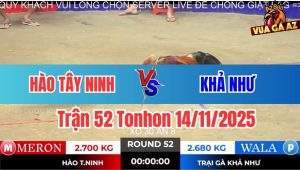 Trận 52 Tonhon 14/11/2025