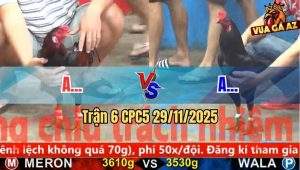 Trận 6 CPC5 29/11/2025