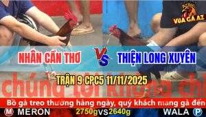 Trận 9 CPC5 11/11/2025