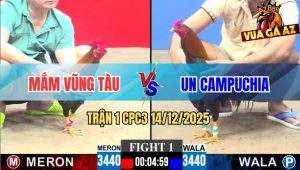 Trận 1 CPC3 14/12/2025 - Anh Mắm Vũng Tàu Mở Bát Thất Bại Dưới Tay CPC