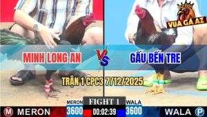 Trận 1 CPC3 7/12/2025 - Xanh Quá Nhanh Đâm Mẻ Hiệu Má Minh Xỉu Ngang