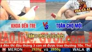 Trận 1 CPC5 12/12/2025 - Gà Chuối Anh Toàn Đâm Bướm Sụm Tỳ Rụng Nụ