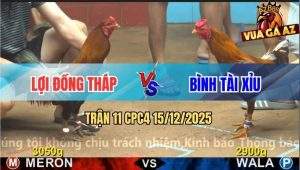 Trận 11 CPC4 15/12/2025 - Điều Đá Khét La Miệng Từ CPC Về VN Còn Nghe