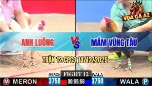 Trận 12 CPC3 14/12/2025 - Điều Mặt Râu Anh Mắm Đá Úa Nhảy Cò Cò