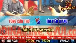 Trận 12 CPC5 13/12/2025 - Phút 90 Gà Cú Gồng Hết Nổi Bỏ Miệng Thua