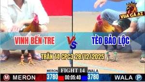 Trận 14 CPC3 28/12/2025 - Điều Đỏ Đá Xe Đạp Chổng Ngược Hạ Gà Anh Tèo