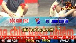 Trận 14 CPC5 2/12/2025 - Bướm Đỏ Vô Ẩu Xanh Chặn Chân Sụm Tỳ Hết Cứu