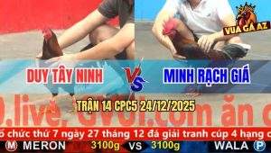 Trận 14 CPC5 24/12/2025 - Điều Xanh Có Chân Xạo Lờ Phản Ăn 2 Đẳng Cấp