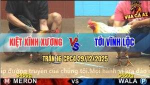 Trận 16 CPC4 29/12/2025 - Điều Anh Kiệt Xỉa Cây Nách Bướm Cò Giò Chạy