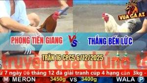 Trận 16 CPC5 6/12/2025 - Gà Điều Anh Phong Đâm Nát Ngực Gà Bướm