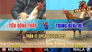 Trận 17 CPC4 15/12/2025 - Bướm Mồng Lá Anh Tiền Đá Điều Chạy La Làng
