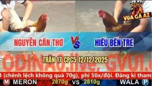 Trận 17 CPC5 12/12/2025 - Camelo Anh Nguyên Xin Nhẹ 1 Giò Gà Vàng