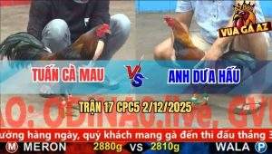 Trận 17 CPC5 2/12/2025 - Anh Tuấn Cà Mau Và Anh Dưa Hấu