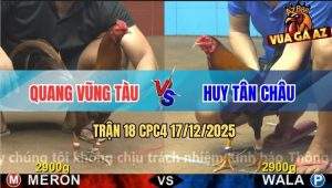Trận 18 CPC4 17/12/2025 - Khét Râu Anh Quang Gồng Nước Khuya Quá Lực