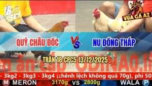 Trận 18 CPC5 13/12/2025 - Gà Anh Nu Kém 3 Chấm Đá Đỏ Không Kịp Dỡ Giò