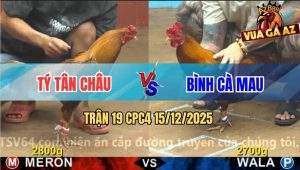 Trận 19 CPC4 15/12/2025 - Khét Anh Tý Có Chân Tiễn Đối Thủ Lên Đường