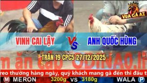 Trận 19 CPC5 27/12/2025 - Điều Cọp Anh Vinh Đâm Bướm Anh Quốc Bại Liệt