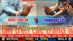 Trận 19 CPC5 6/12/2025 - Gà Điều Anh Thành Nhỏ Mà Có Võ Đâm Bự Quẹo Cổ