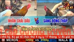 Trận 19 CPC5 8/12/2025 - Điều Chân Trắng Đá Điều Chân Vàng Kêu Ót Ót