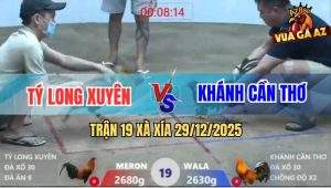 Trận 19 Xà Xía 29/12/2025 - Điều Đuôi Lao Chồng Độ Bị Đâm Gãy Cánh