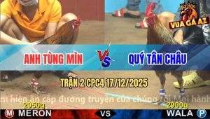 Trận 2 CPC4 17/12/2025 - Gà Khét Anh Tùng Mìn Có Chân Xạo Lờ Phút 90
