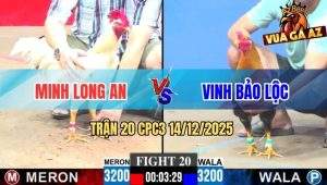 Trận 20 CPC3 14/12/2025 - Điều Anh Vinh Bú Bướm Má Minh Gãy Giò