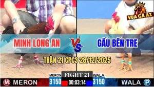 Trận 21 CPC3 28/12/2025 - Anh Gấu Hạ Má Minh Trong Một Nốt Nhạc