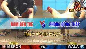 Trận 21 CPC4 17/12/2025 - Bướm Anh Nu Chấp Ngông Bị Điều Đá Như Con
