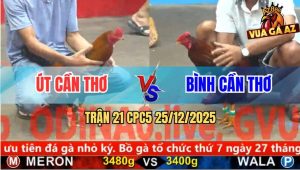 Trận 21 CPC5 25/12/2025 - Gà Điều Anh Bình Cần Thơ Có Chân Xạo Lờ