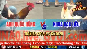 Trận 22 CPC5 27/12/2025 - Gà Anh Quốc Né Hay, Đá Cây Cần Bướm Tai Biên