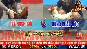 Trận 22 CPC5 4/12/2025 - Điều Lọt Tim Chết Trước Bướm Cầm Hơi Lấy Tiền