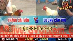 Trận 22 CPC5 9/12/2025 - Úa Cọp Anh Dương Đâm Cây Cần Điều Té Lộn Nhào