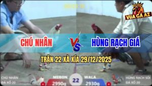 Trận 22 Xà Xía 29/12/2025 - Xám Đá Bướm Chú Nhân Phá Đôi Miệng Kêu Cứu