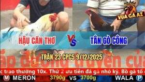 Trận 23 CPC5 9/12/2025 - Bướm Anh Hậu Táng Một Phát Điều Thọt Bay Bồ