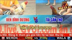 Trận 24 CPC5 13/12/2025 - Bướm Anh Đen Đâm Cây Mu Lưng Gà Que Hết Sống