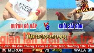 Trận 24 CPC5 8/12/2025 - Bướm Anh Huỳnh Gác Cựa Lên Mu Lưng Điều Té