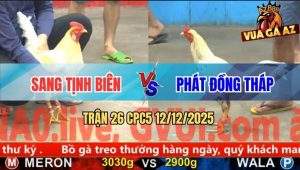 Trận 26 CPC5 12/12/2025 - Gà Úa Đâm Phát Nào Gà Bướm Ra Tiền Phát Đó