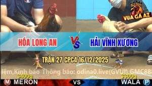 Trận 27 CPC4 16/12/2025 - Điều Đá Cây Chí Mạng Khét Sữa Ra Mau Lỏng