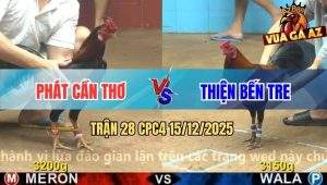 Trận 28 CPC4 15/12/2025 - Gà Que Anh Thiện Lấy Tiền Gà Điều 1 Nốt Nhạc