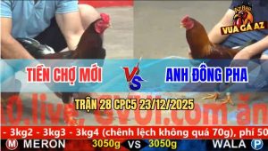 Trận 28 CPC5 23/12/2025 - Điều Anh Tiền Đá Điều Đông Pha Chạy La Miệng
