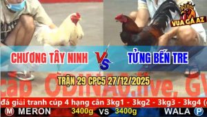 Trận 29 CPC5 27/12/2025 - Điều Đi Bạc Bị Bướm Đâm Té Trong 1 Nốt Nhạc