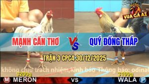 Trận 3 CPC4 30/12/2025 - Bướm anh Mạnh Tung Đòn Cáo, Chuối Gục Tại Chỗ