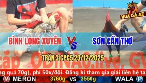 Trận 3 CPC5 23/12/2025 - Gà Cú Anh Bình Đâm Xanh Râu Ra Si Rô