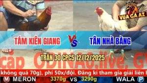 Trận 30 CPC5 12/12/2025 - Gà Bướm Anh Tân Đâm Điều Chạy Không Kịp Thở