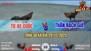 Trận 30 Xà Xía 29/12/2025 - Đỏ Chồng Độ Hạ Mẻ Hiệu Kêu Miệng Bay Bồ