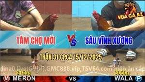 Trận 31 CPC4 15/12/2025 - Điểu Đỏ Trả Giá Đắt Vì 1 Giây Hở Sườn