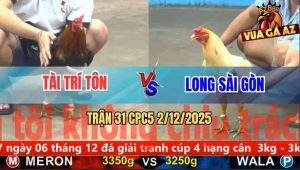 Trận 31 CPC5 2/12/2025 - Bướm Mặt Râu Đâm Điều Chân Xanh Tốc Chạy