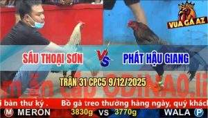Trận 31 CPC5 9/12/2025 - Gà Xanh Anh Phát Đá Chuối Đen Tốc Chạy Bay Bồ
