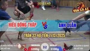 Trận 32 Hà Tiên 7/12/2025 - Camelo Anh Hiếu Đá Điều Không Kịp Tha Lơ