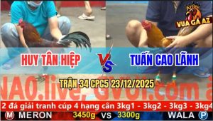 Trận 34 CPC5 23/12/2025 - Khét Cọp Anh Tuấn Đâm Điều Anh Huy Tai Biến